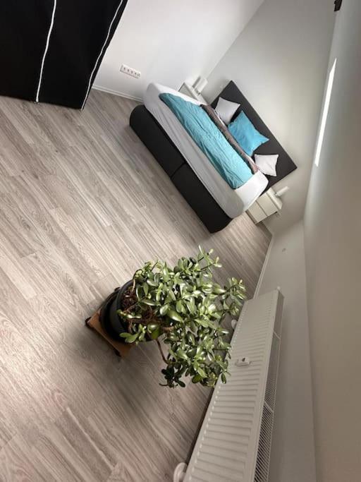 Panoramablick In Litzendorf Apartman Kültér fotó